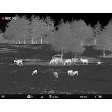 Load image into Gallery viewer, Pulsar Telos LRF XP50 640 Resolution Upgradeable Thermal Monocular